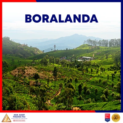 Boralanda