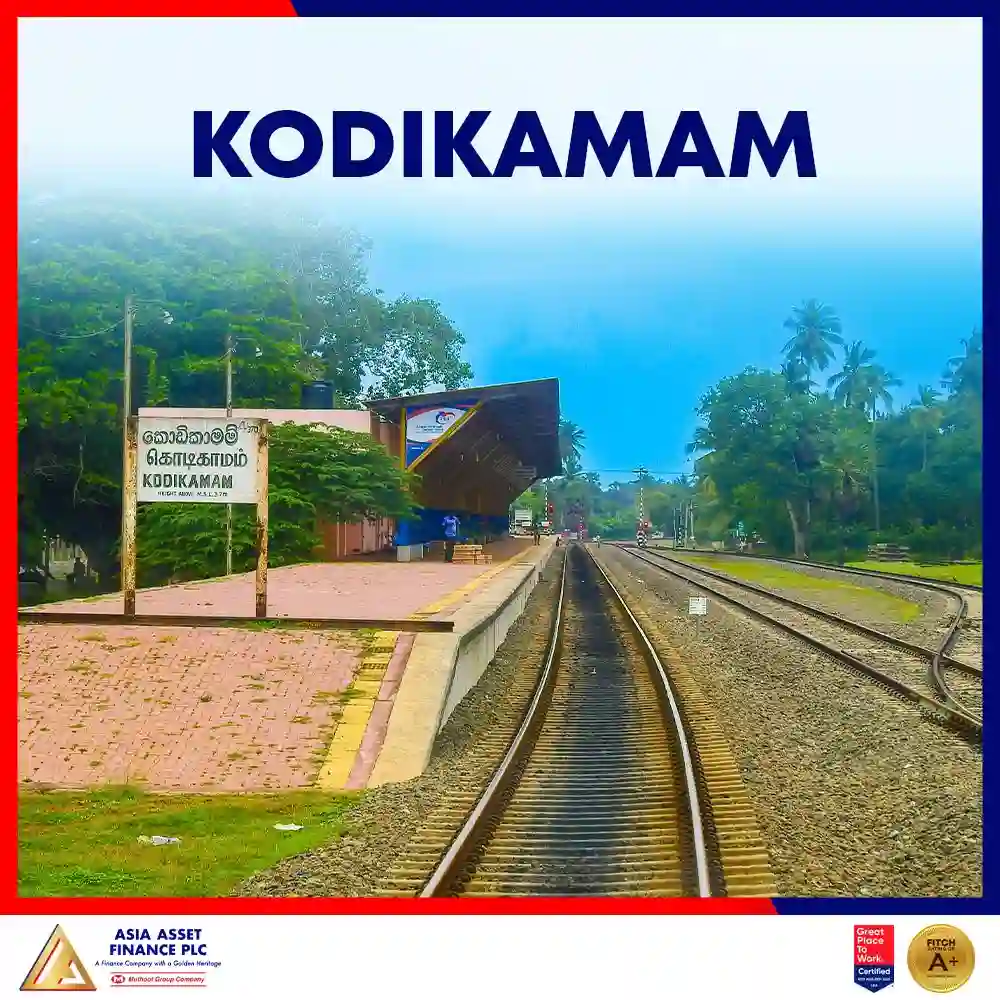 Kodikamam