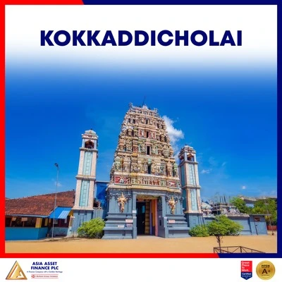 Kokkadicholai