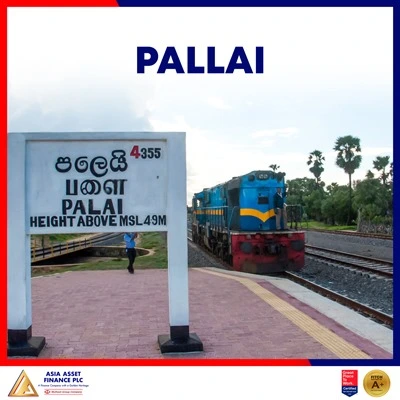 Palai