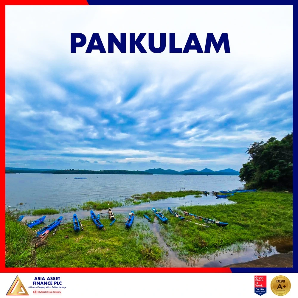 Pankulam
